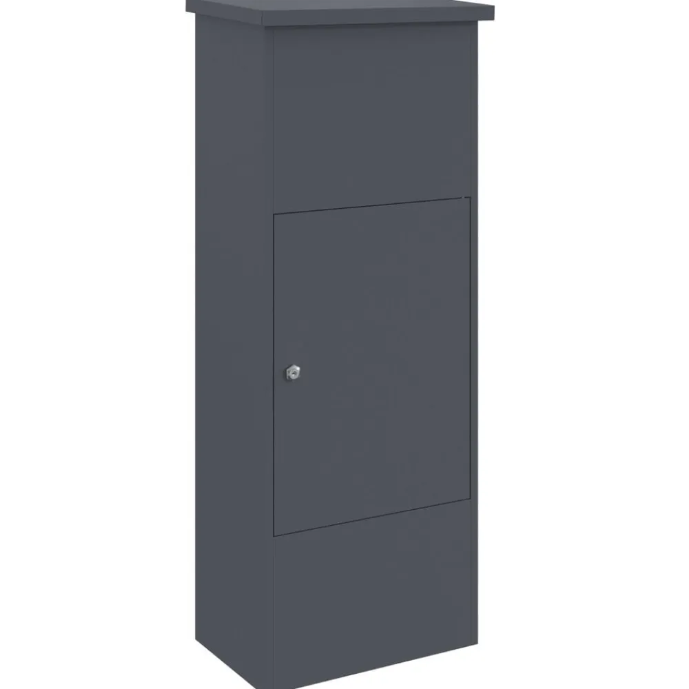 vidaXL Decoración-Caja de entrega de paquetes 44,5 x 29 x 110,5 cm