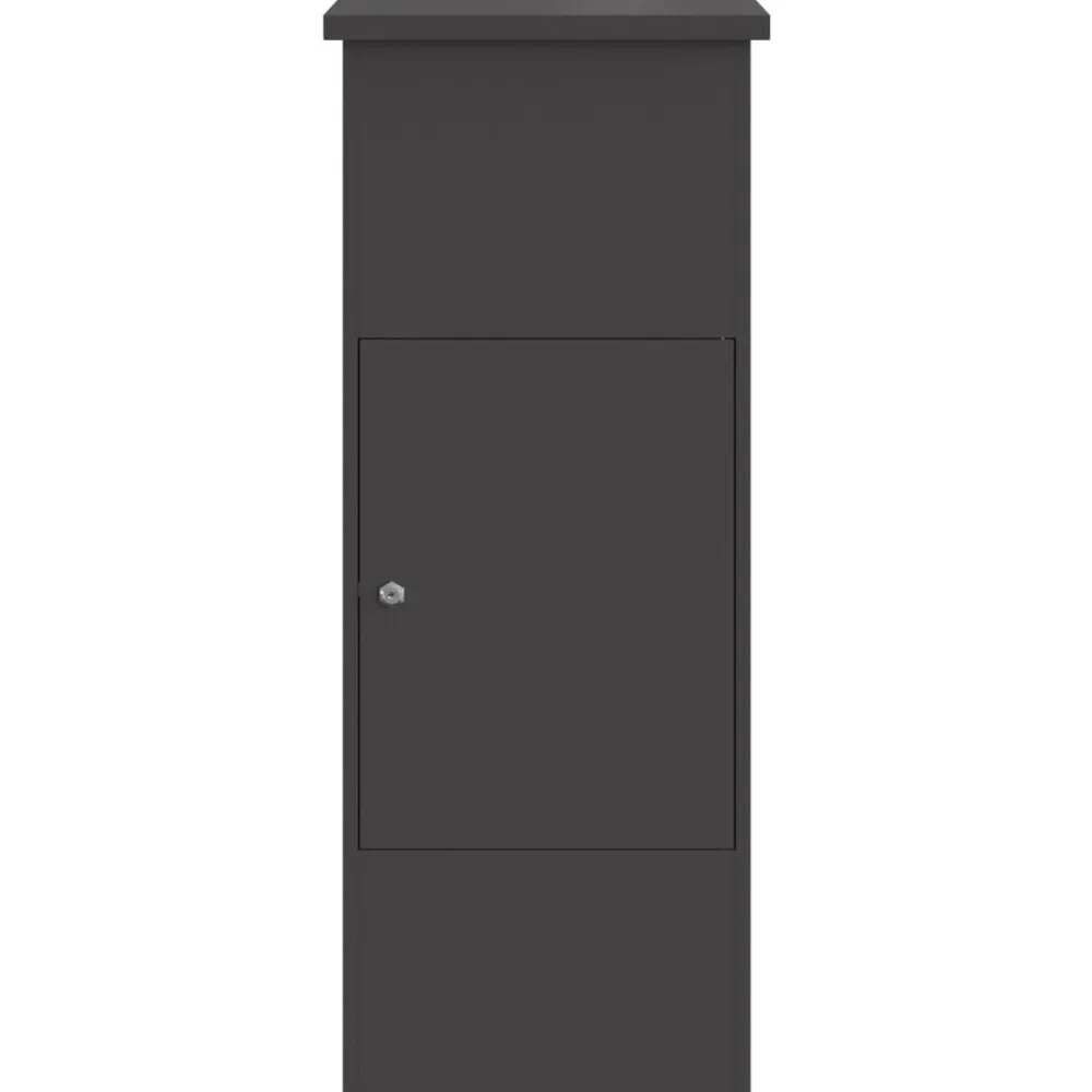 vidaXL Caja de entrega de paquetes 44,5 x 29 x 110,5 cm Acero Negro