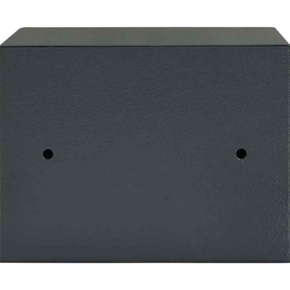 vidaXL Seguridad Empresarial Y Del Hogar-Caja Fuerte con cerradura Gris oscuro 23 x 17 x 17 cm Acero