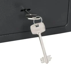 vidaXL Seguridad Empresarial Y Del Hogar-Caja Fuerte con cerradura Gris oscuro 23 x 17 x 17 cm Acero