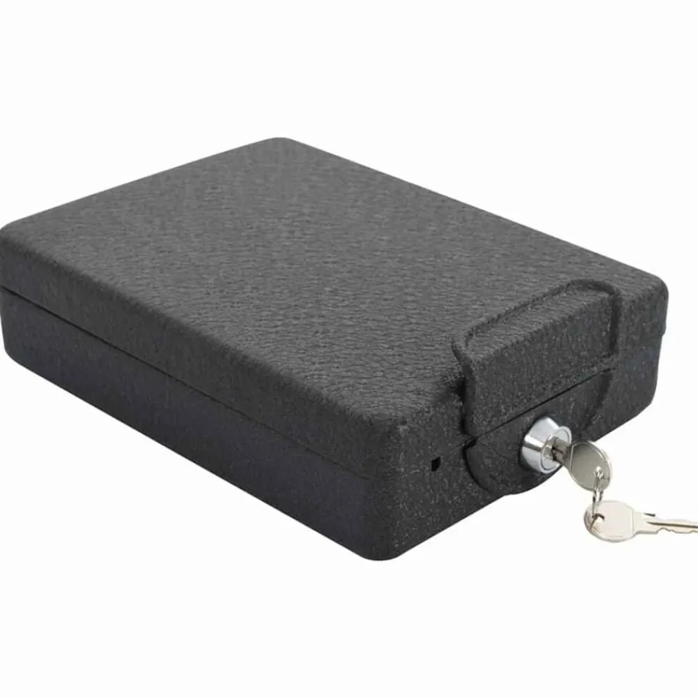 vidaXL Caja Fuerte para Auto con cerradura Negro 22 x 16 x 7 cm Acero Online