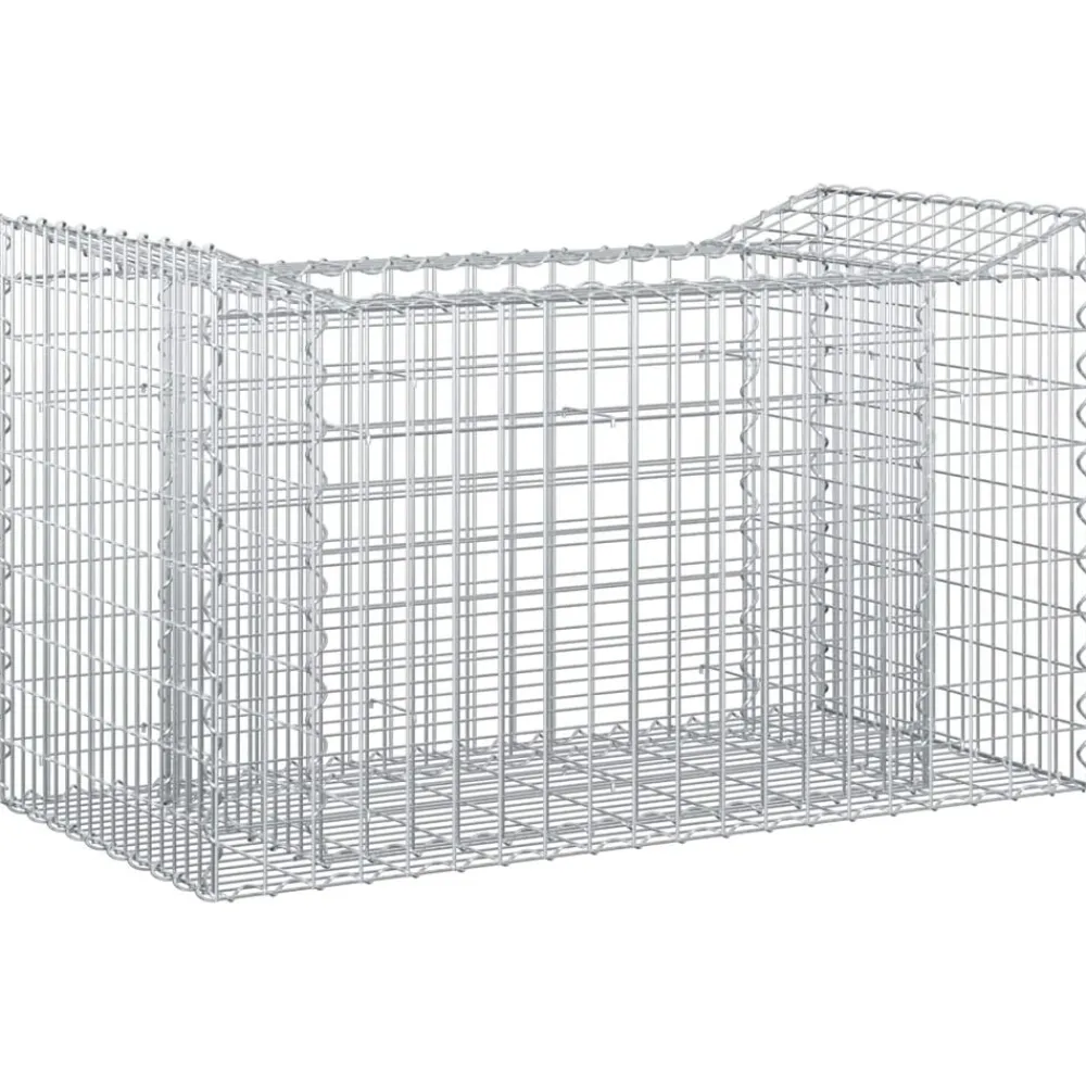 vidaXL Vallas De Jardín-Cama elevada de gavión Plateado 50 x 100 x 60 cm
