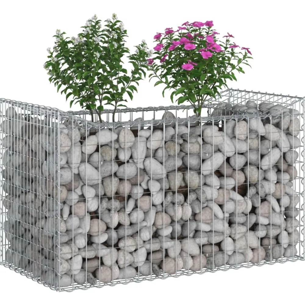 vidaXL Vallas De Jardín-Cama elevada de gavión Plateado 50 x 100 x 60 cm
