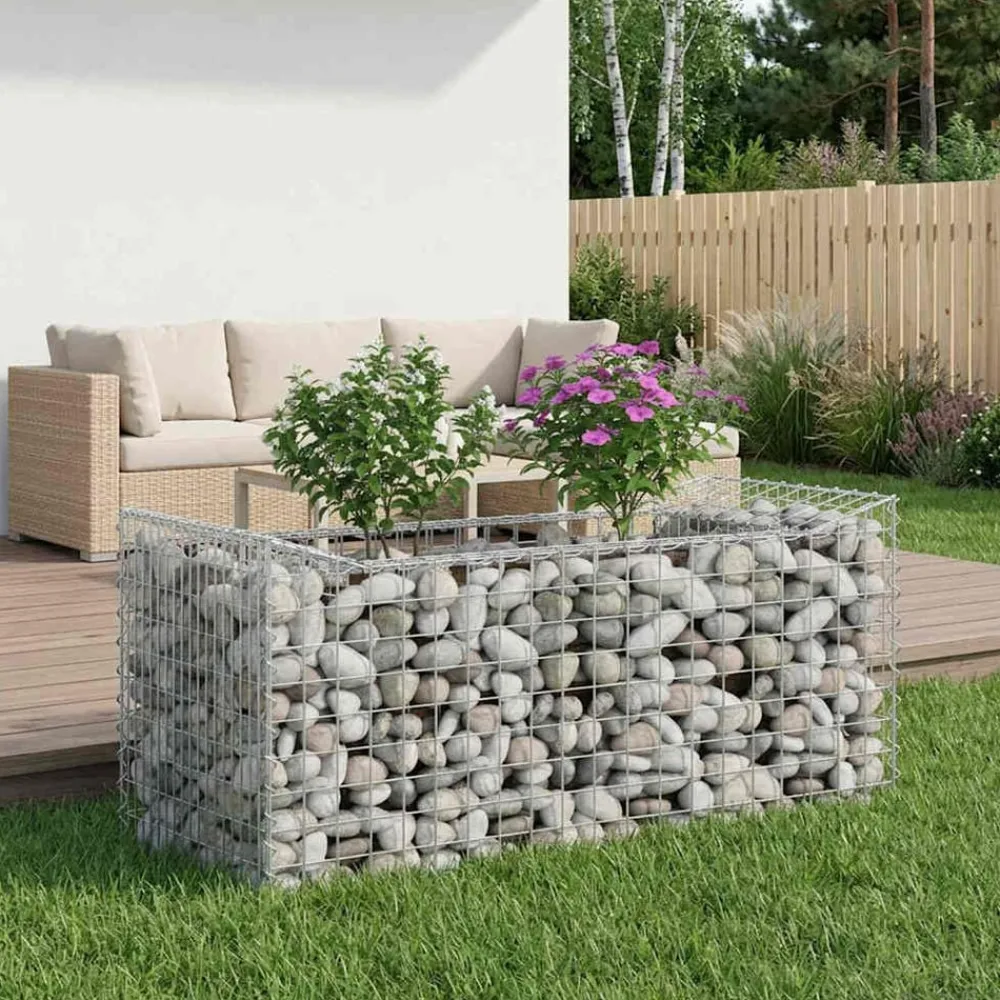 vidaXL Vallas De Jardín-Cama elevada de gavión Plateado 50 x 100 x 60 cm