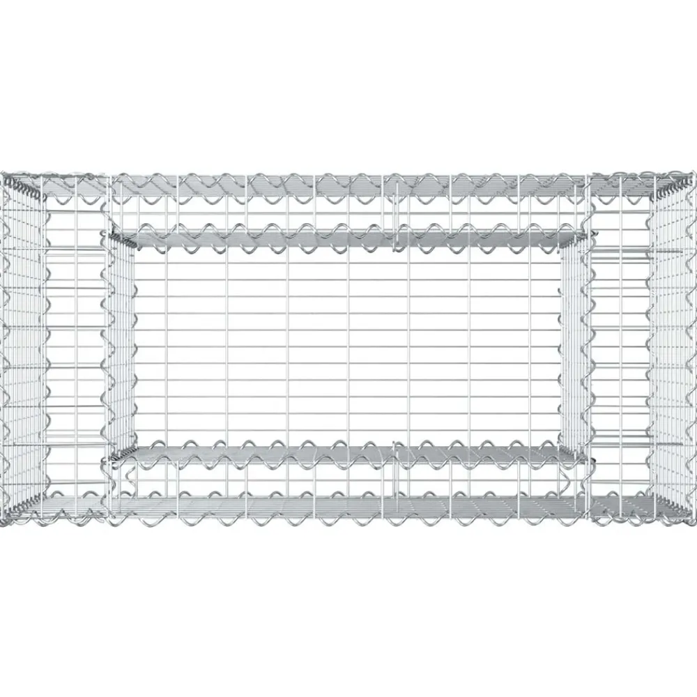 vidaXL Vallas De Jardín-Cama elevada de gavión Plateado 50 x 100 x 60 cm