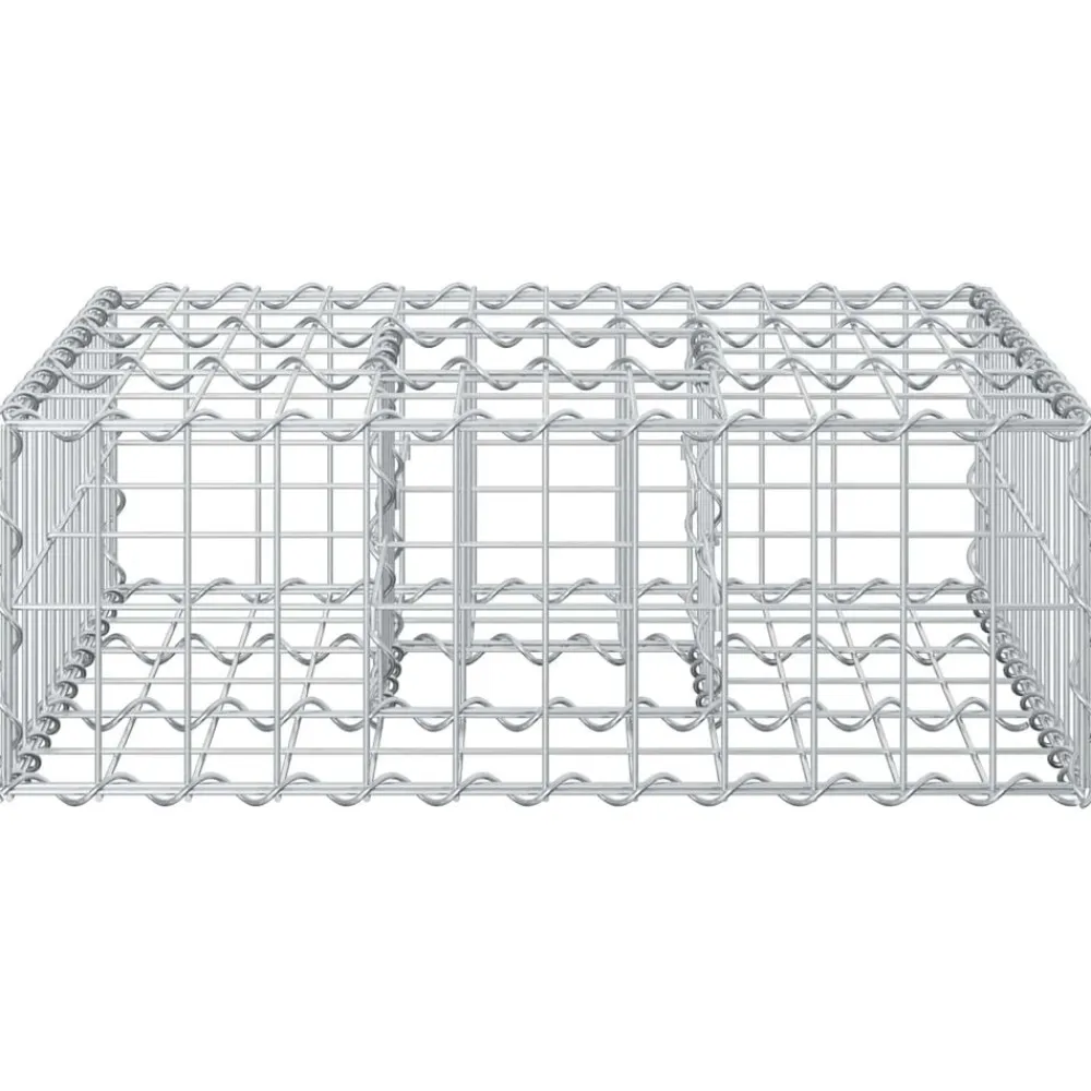 vidaXL Cama elevada de gavión Plateado 60 x 60 x 20 cm Hot