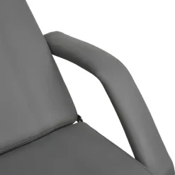 vidaXL Salud Y Belleza-Camilla de masaje gris 180x62x(87-112) cm