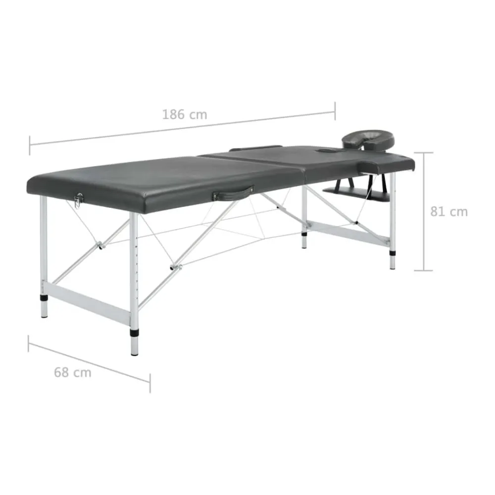 vidaXL Camilla de masaje 2 zonas marco aluminio 186x68 cm Antracita New