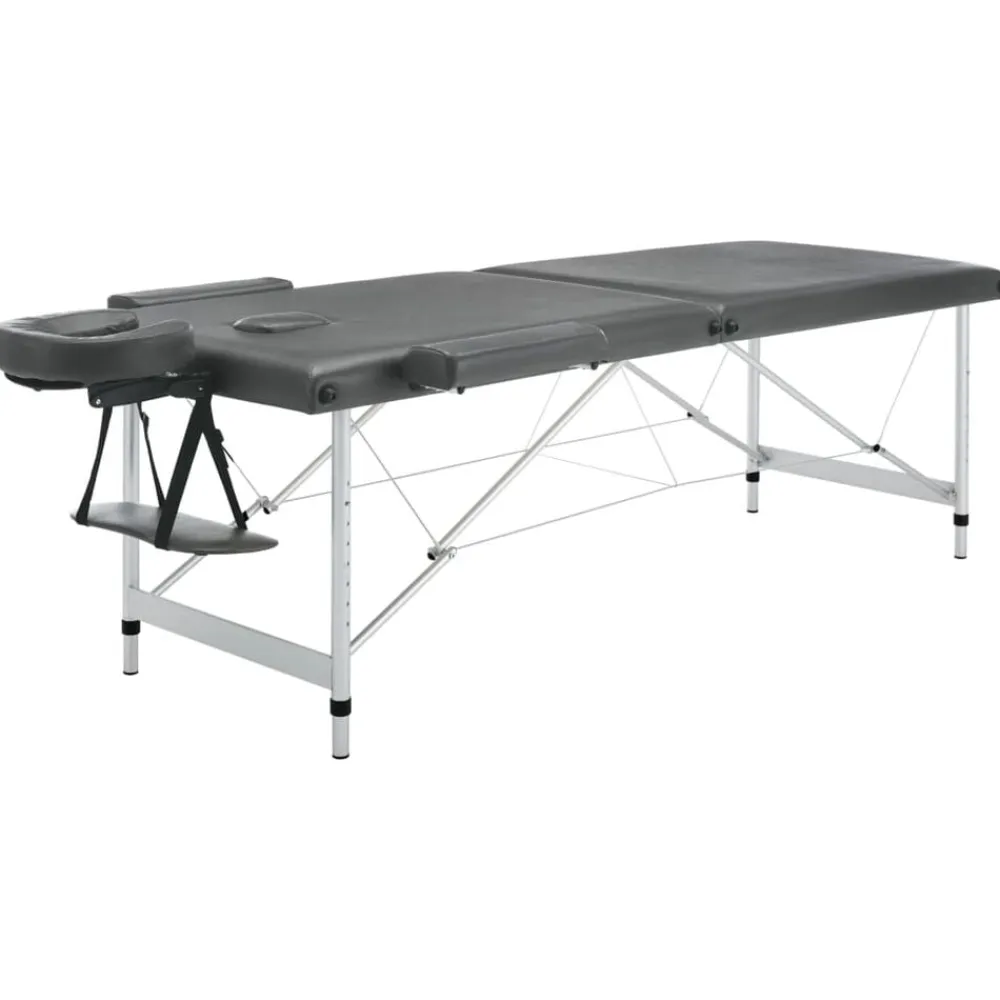 vidaXL Camilla de masaje 2 zonas marco aluminio 186x68 cm Antracita New