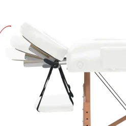 vidaXL Camilla de masaje plegable 2 zonas 10 cm grosor blanca Blanco Discount