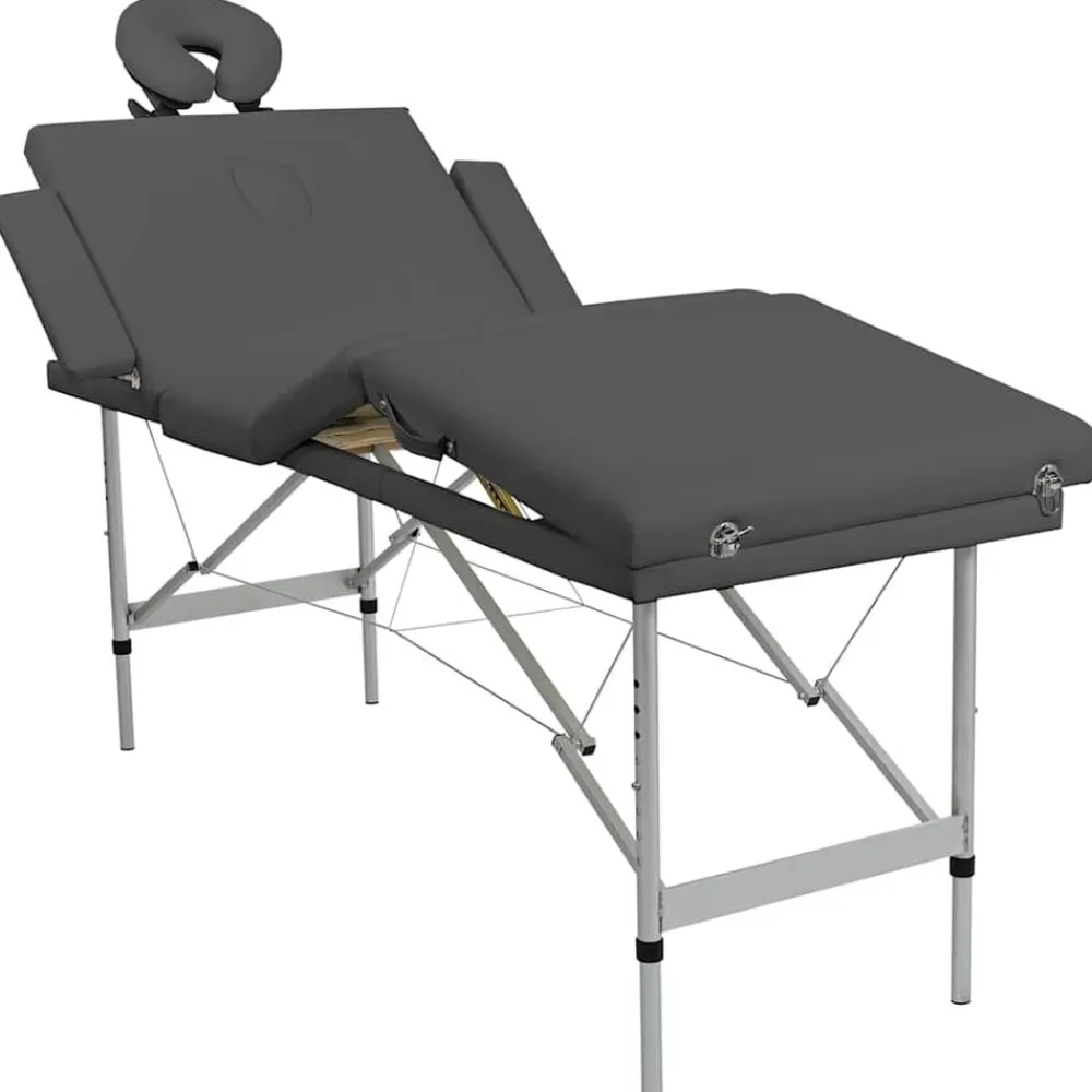 vidaXL Camilla masaje 4 zonas estructura aluminio 186x68 cm Antracita Hot