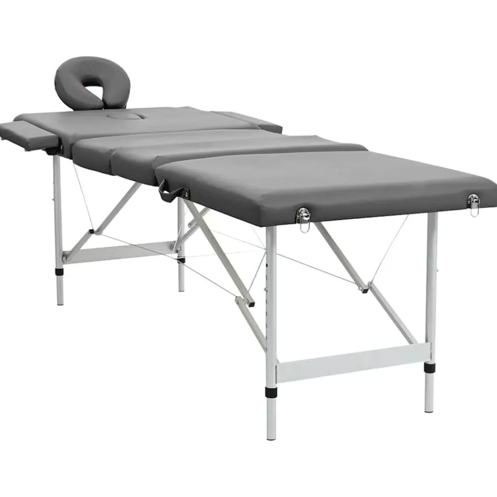 vidaXL Camilla masaje 4 zonas estructura aluminio 186x68 cm Antracita Hot