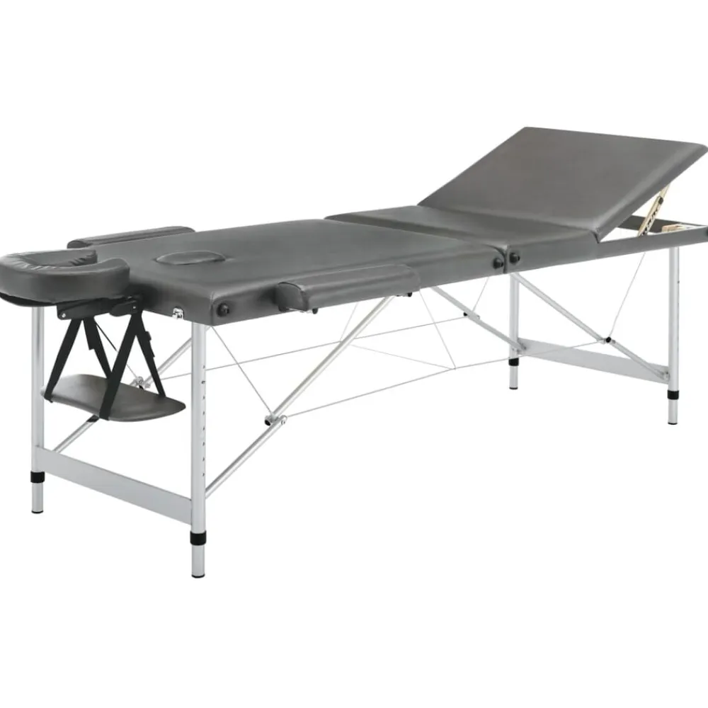 vidaXL Camilla masaje 3 zonas estructura aluminio 186x68 cm Antracita