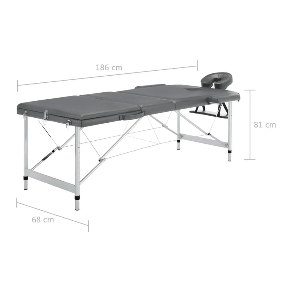 vidaXL Camilla masaje 3 zonas estructura aluminio 186x68 cm Antracita