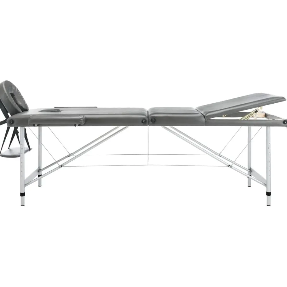 vidaXL Camilla masaje 3 zonas estructura aluminio 186x68 cm Antracita
