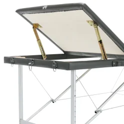 vidaXL Camilla masaje 3 zonas estructura aluminio 186x68 cm Antracita