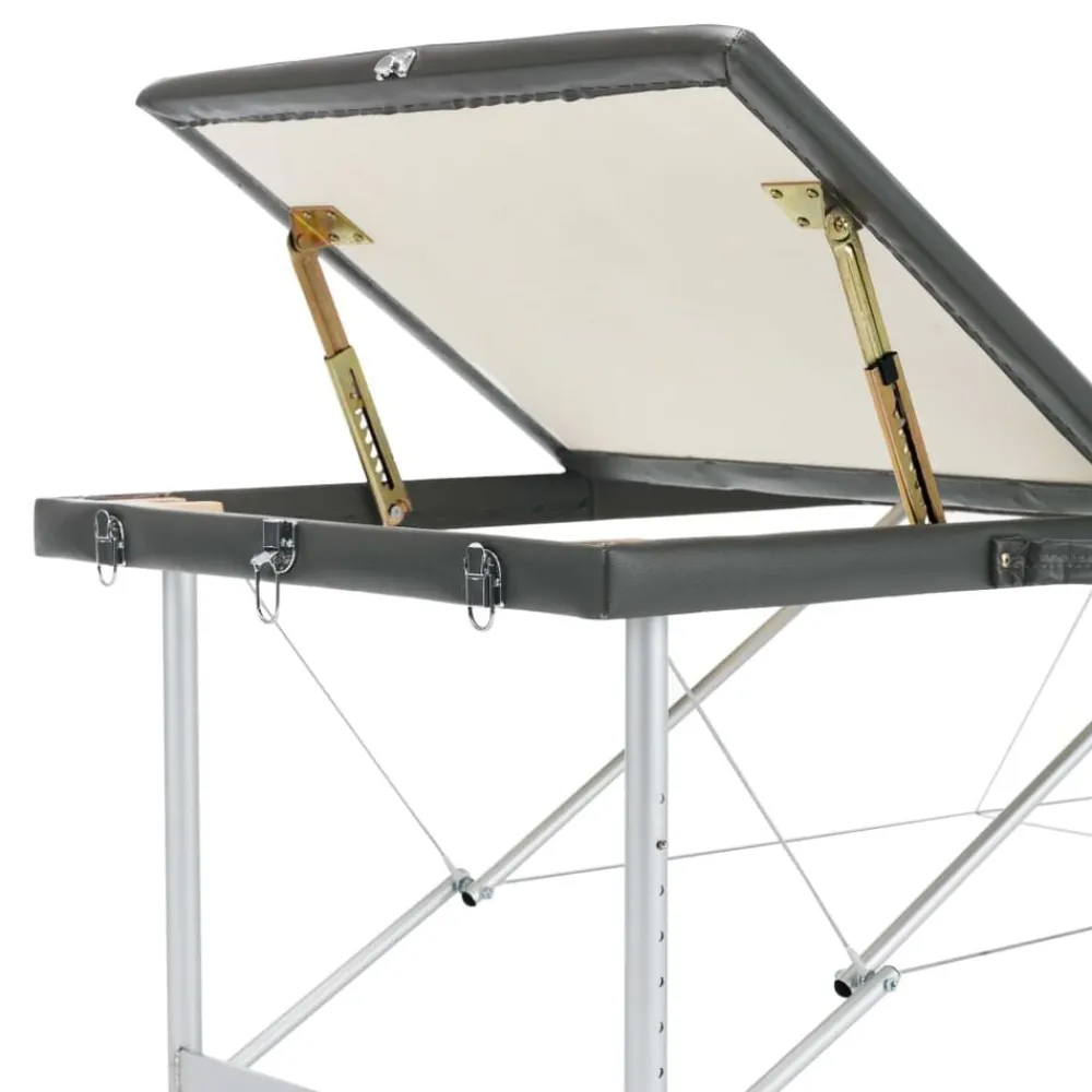 vidaXL Camilla masaje 3 zonas estructura aluminio 186x68 cm Antracita