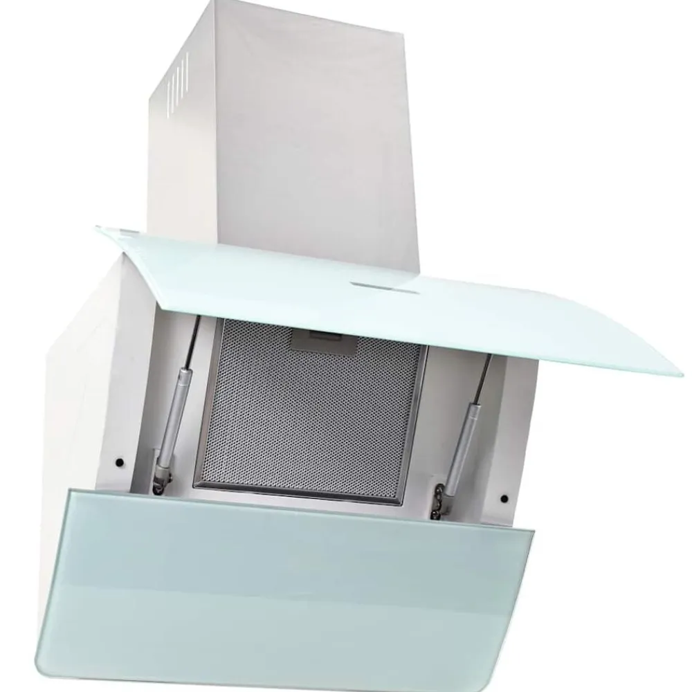 vidaXL Cocina Y Comedor-Campana extractora de pared acero inox blanca 756 m³/h 60 cm