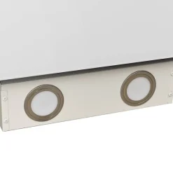 vidaXL Campana extractora de pared acero vidrio templado 60 cm Blanco