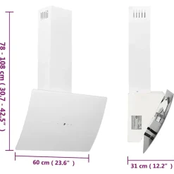 vidaXL Campana extractora de pared acero vidrio templado 60 cm Blanco