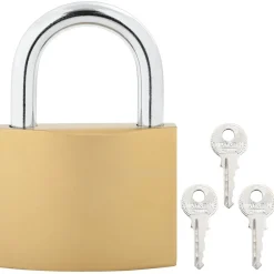vidaXL Candado en U con llaves 50 pcs Latón Hierro Online