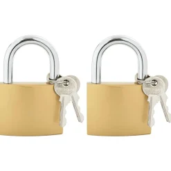 vidaXL Llaves Y Cerrojos-Candado en U con llaves 2 pcs Latón Hierro