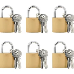 vidaXL Candado en U con llaves 6 pcs Latón Hierro Online