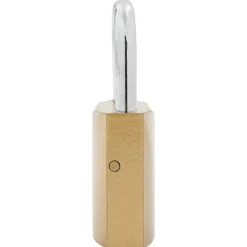 vidaXL Candado en U con llaves 6 pcs Latón Hierro Online