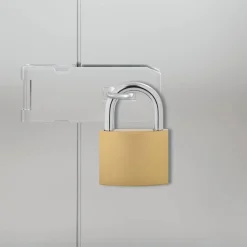 vidaXL Candado en U con llaves 50 pcs Latón Hierro Outlet