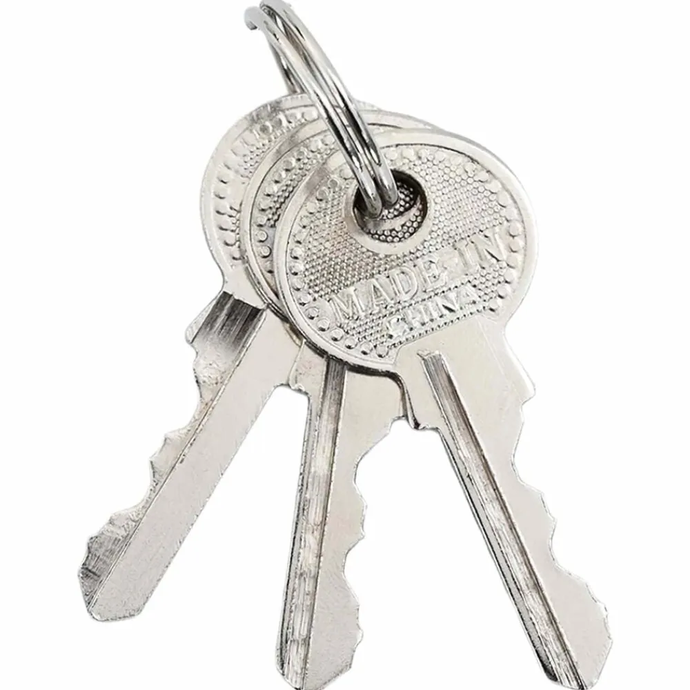 vidaXL Candado en U con llaves 6 pcs Latón Hierro Online