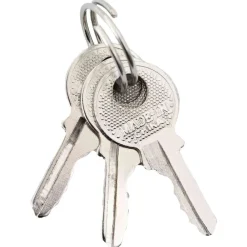 vidaXL Candado en U con llaves 6 pcs Latón Hierro Clearance