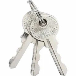 vidaXL Llaves Y Cerrojos-Candado en U con llaves Latón 6 x 2 x 9,1 cm Hierro