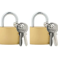 vidaXL Candado en U con llaves 2 pcs Latón Hierro