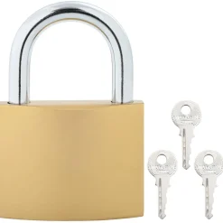 vidaXL Candado en U con llaves 2 pcs Latón Hierro New