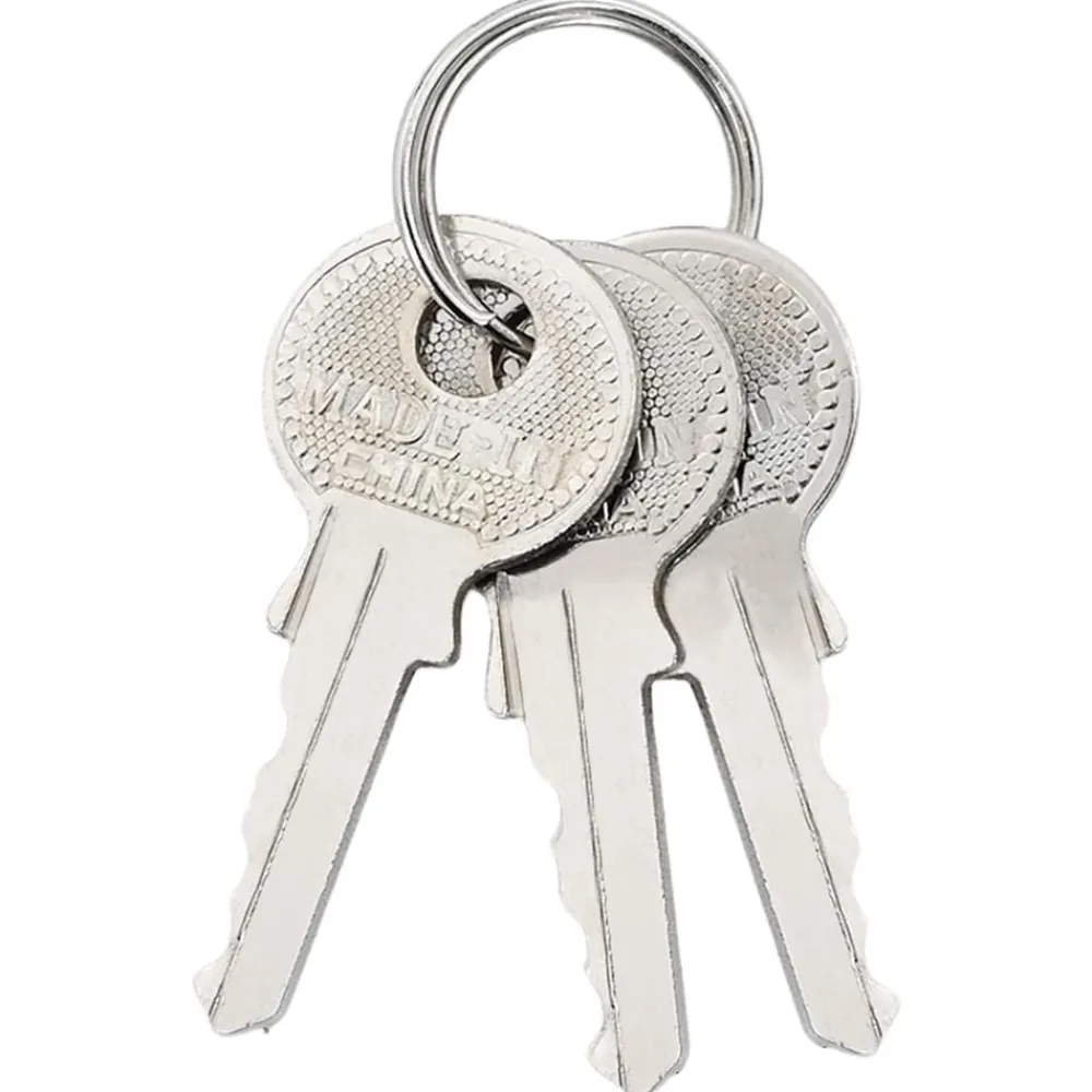 vidaXL Llaves Y Cerrojos-Candado en U con llaves 2 pcs Latón Hierro