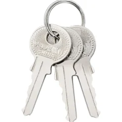vidaXL Candado en U con llaves 6 pcs Latón Hierro Sale