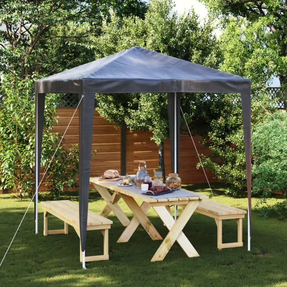 vidaXL Carpa para celebraciones profesional gris 2x2 m Antracita Sale
