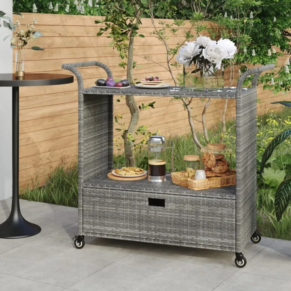 vidaXL Carrito de bar con cajón ratán sintético 100x45x97 cm Gris Online