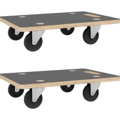 vidaXL Carritos de transporte 2 uds rectangular 50x35x11,5 cm 250 kg Hot
