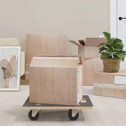 vidaXL Carritos de transporte 2 uds rectangular 50x35x11,5 cm 250 kg Hot