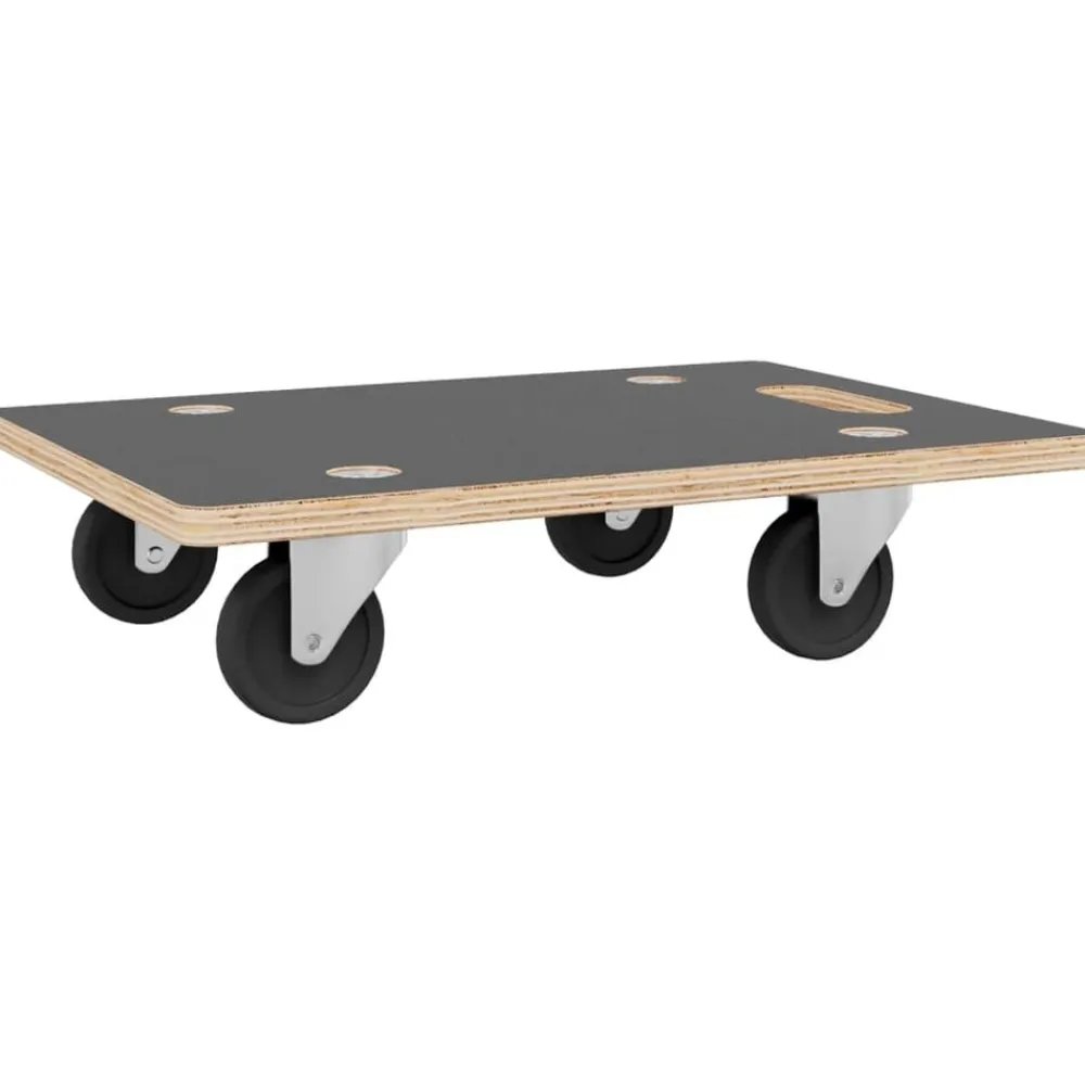 vidaXL Carritos de transporte 2 uds rectangular 50x35x11,5 cm 250 kg Hot