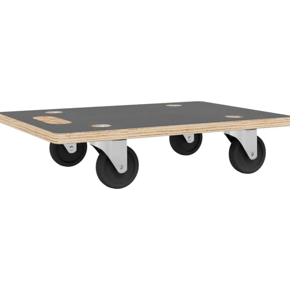 vidaXL Carritos de transporte 2 uds rectangular 50x35x11,5 cm 250 kg Hot