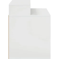 vidaXL Productos Para Mascotas-Casa para Gatos 42,5 x 40 x 53,5 cm