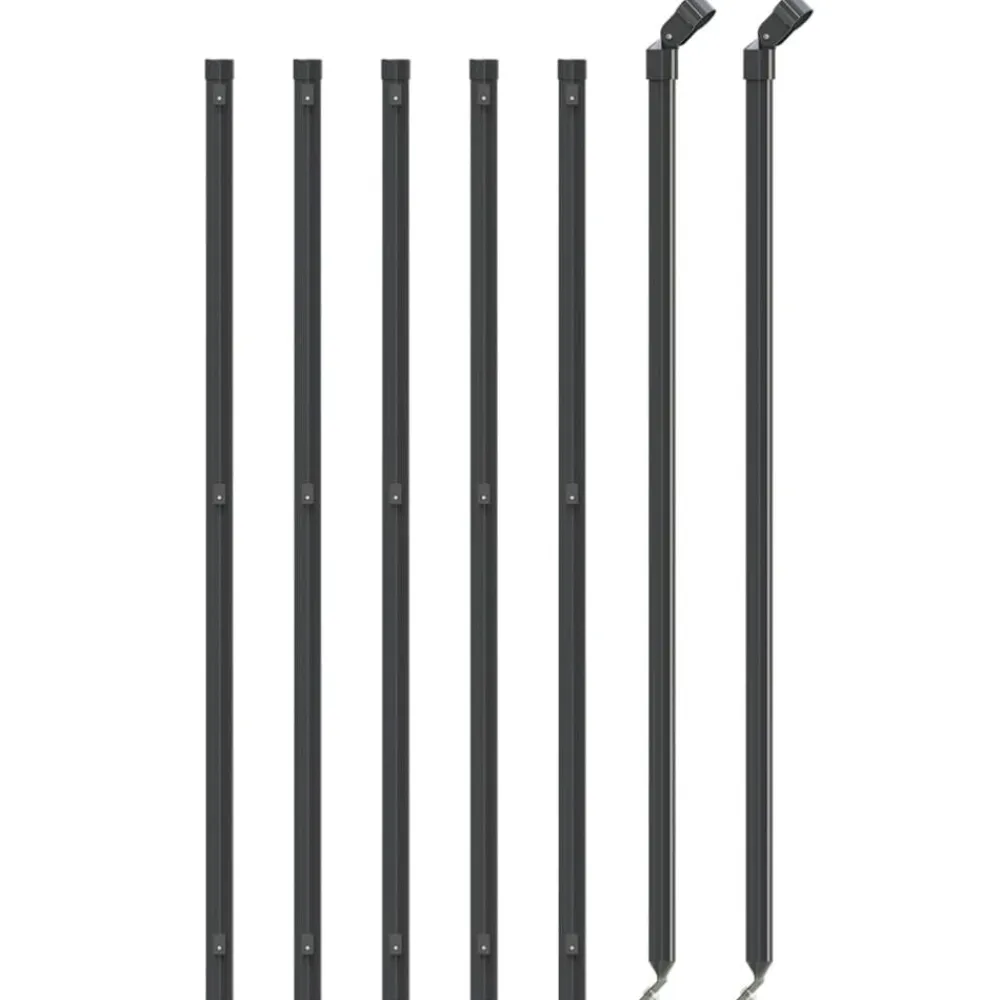 vidaXL Cerca de alambre con brida gris 0,8x10 m Antracita Discount