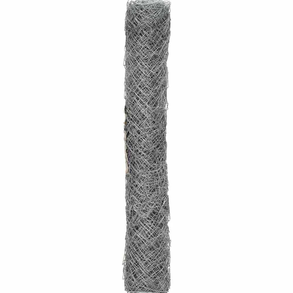 vidaXL Cerca de eslabones de cadena Galvanizado 2 x 10 m Cristal