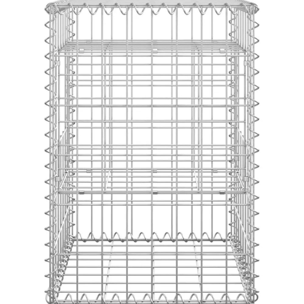 vidaXL Cestas postes de gaviones 2 unidades hierro 40x40x60 cm Online