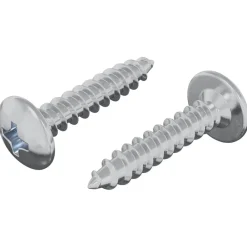 vidaXL Clavo autorroscante 2 pcs Recubierto de zinc 4 x 20 mm Acero Best