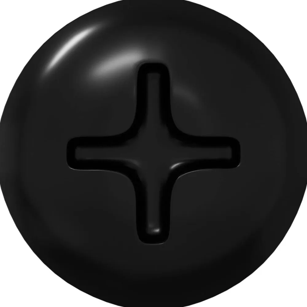 vidaXL Accesorios De Bricolaje-Clavo autorroscante 2 pcs Negro 4 x 25 mm Acero
