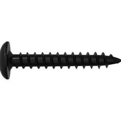 vidaXL Accesorios De Bricolaje-Clavo autorroscante 2 pcs Negro 4 x 25 mm Acero