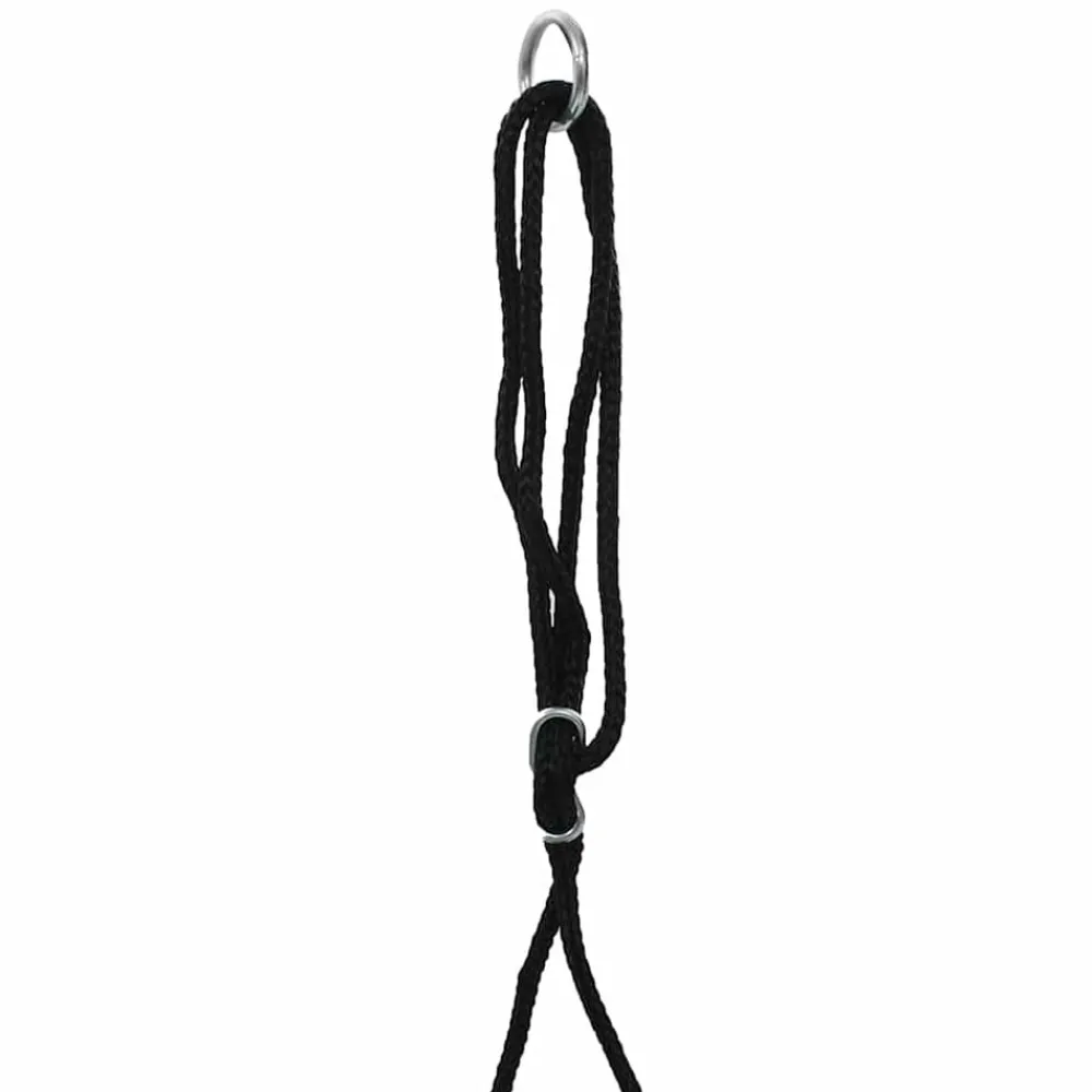 vidaXL Estructuras Para Juegos Al Aire Libre-Columpio 110 cm 100 kg